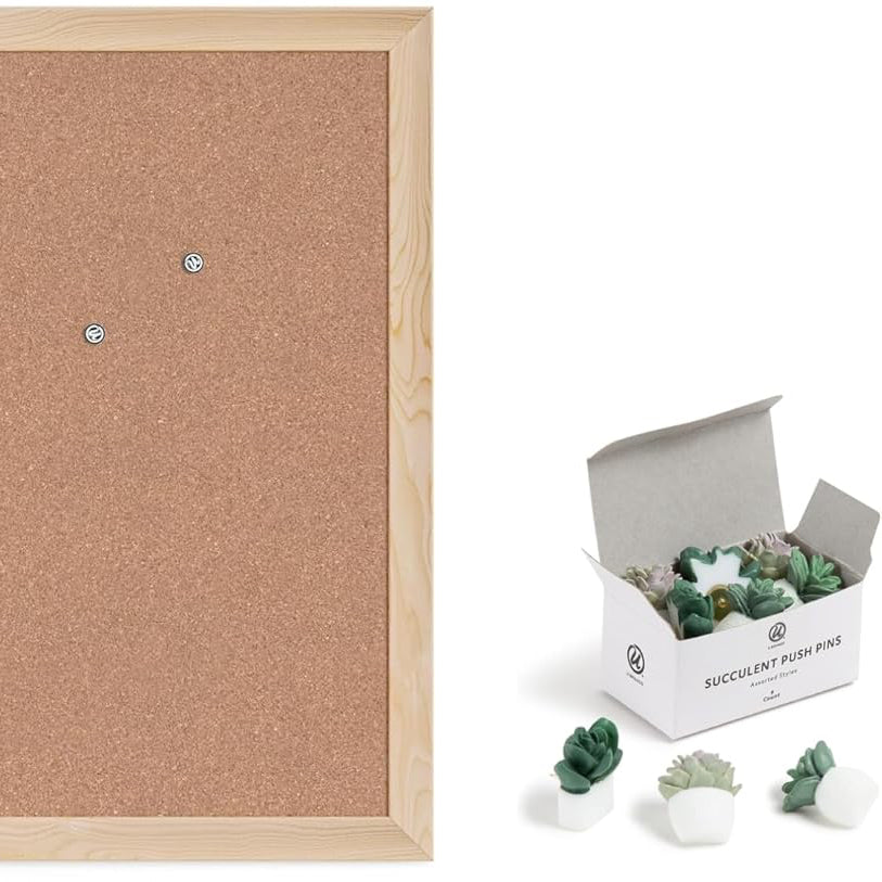 corkboard with pushpins