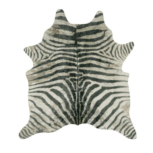 imersianvisualiserimage