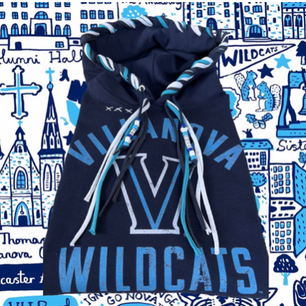 hand embroidered hoodie college